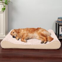 Wayfair dog 2025 beds canada